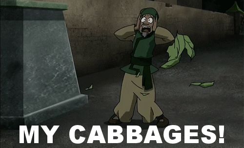 My-Cabbages-Gif-On-Avatar-The-Last-Airbender.gif