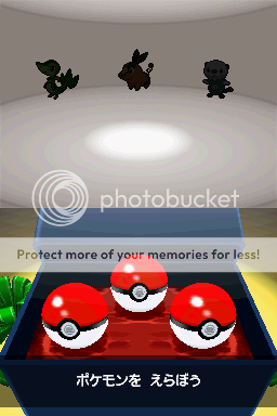 b-pokemonw_patched_12_602.png