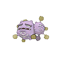 weezing.png