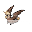 birdy.png