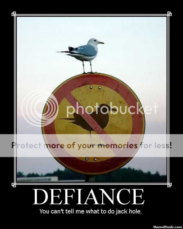 defiance.jpg