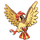 Pidgeotto.png