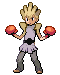 HitmonchanCosplayer.png