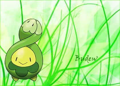 Budew.jpg