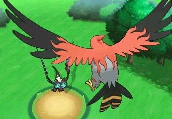 Talonflamescreenshot2_zpsa39f8dce.jpg