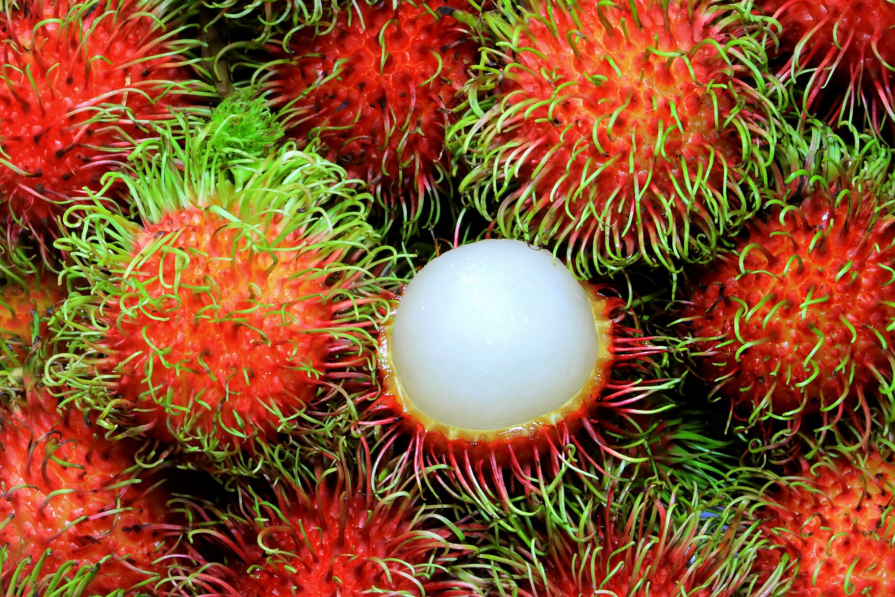 the-feast-unusual-fruits.jpg