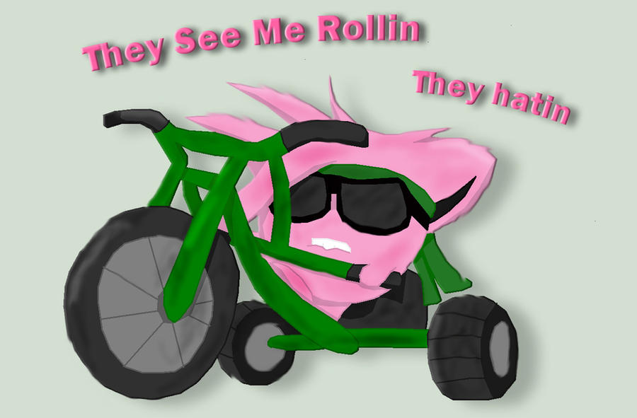 they_see_me_rollin_by_dapuffster-d5b3xwy.jpg