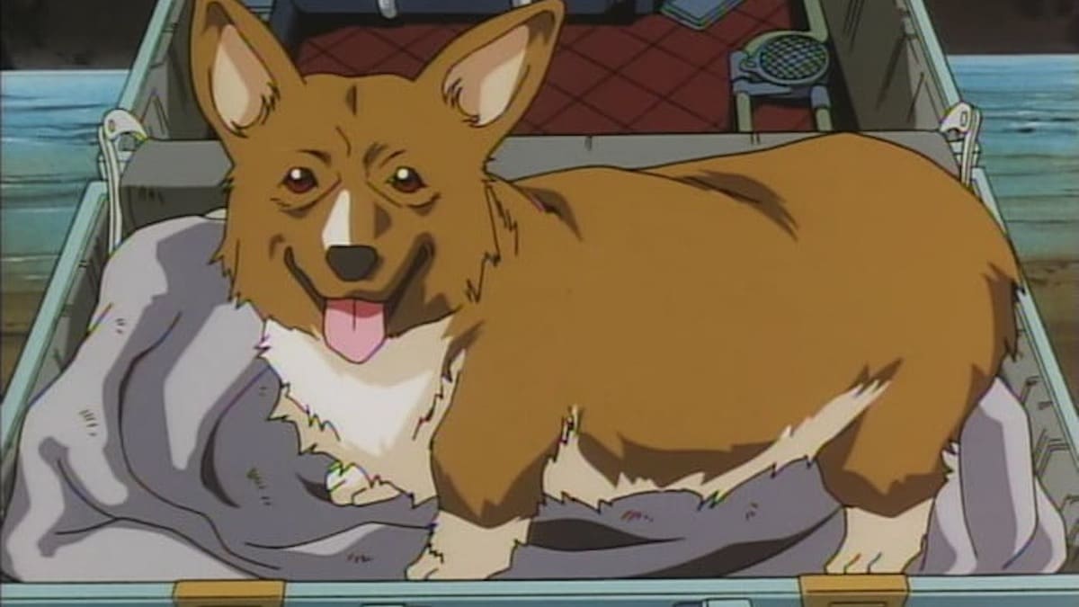 Cowboy-Bebop-Ein.jpg