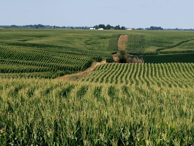 Farmland_Market_Stabilizes.jpg