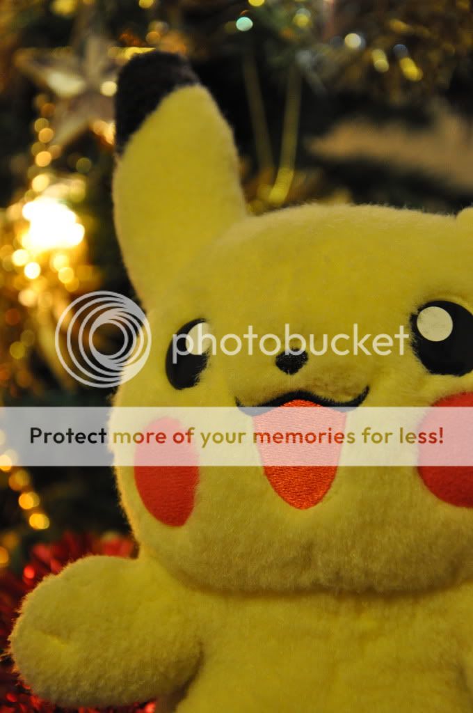 Pokemonxmas089.jpg