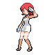 hh.png