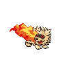 ZigzagoonFire.png