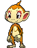 chimchar_by_pokemon3dsprites-d9jtzft.gif