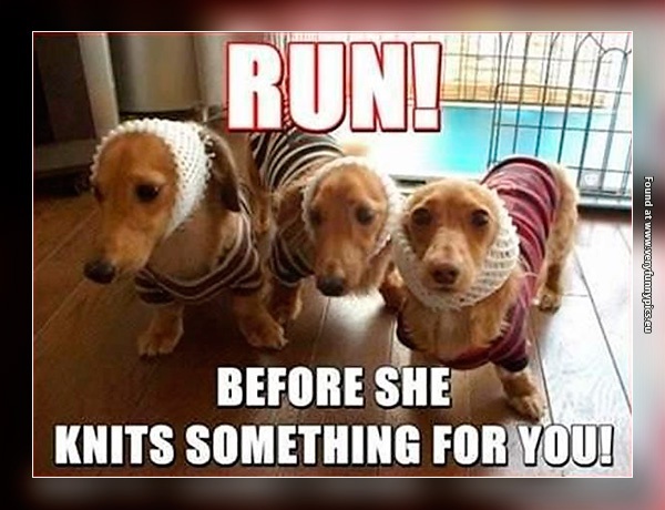 funny-pictures-crazy-dog-lady-knits.jpg