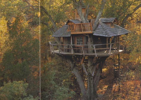 treehouse2.jpg