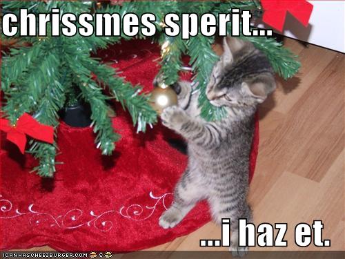 cat-xmas.jpg