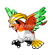 pkmnpidgeoh.png