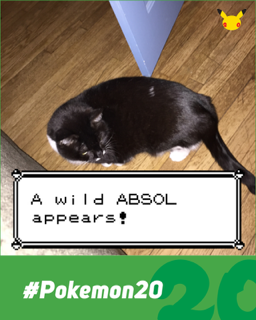 oiamSKo.png