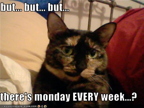 funny-pictures-cat-hates-monday.jpg