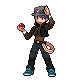 xavier_by_ultimate_shadow_chao-d4hpve5.png