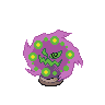Spr_5b_442.png