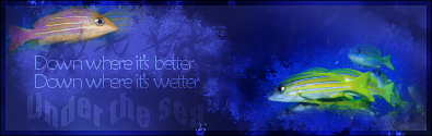 thegroovyfish4.png