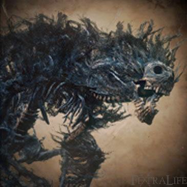 darkbeast_paarl.jpg