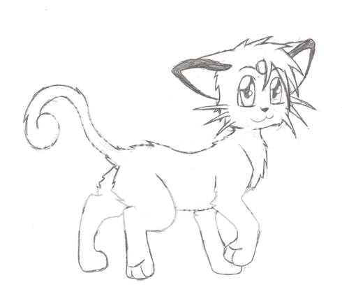 Persian-Kitten-Sketch.png