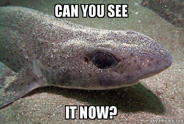 can-you-see-0cb20k.jpg