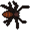 Black_Recluse.png