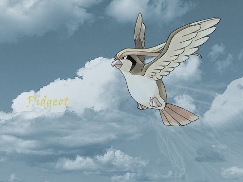 Pidgeotcloud.jpg