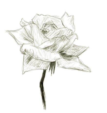 Practice_Rose_by_profcinders.jpg