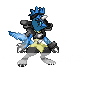 evolution.png
