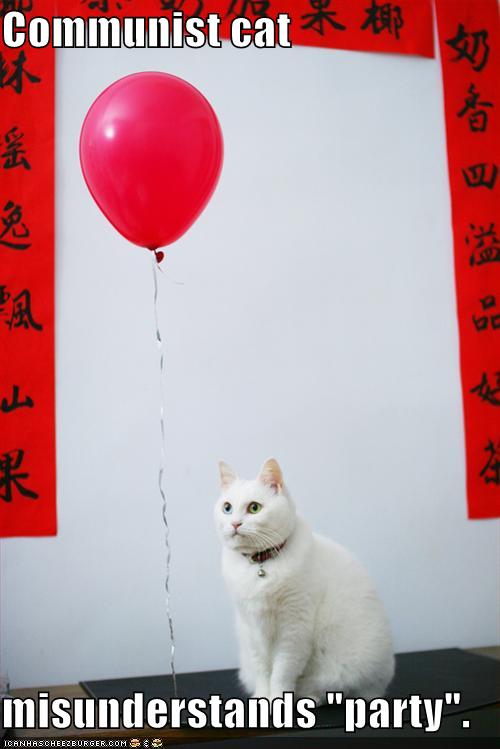 funny-pictures-communist-cat-party.jpg