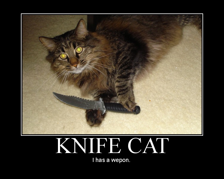 Motivational_Poster__Knife_Cat_by_MidoriEyes.jpg