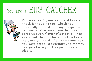 bug-catcher.png
