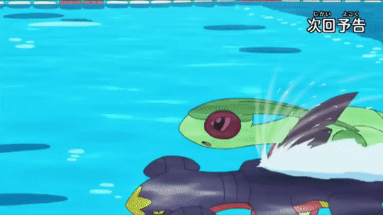 __garchomp_and_flygon_pokemon_and_2_more__ccde1ead2c2d033f9c085fd18858579a.gif