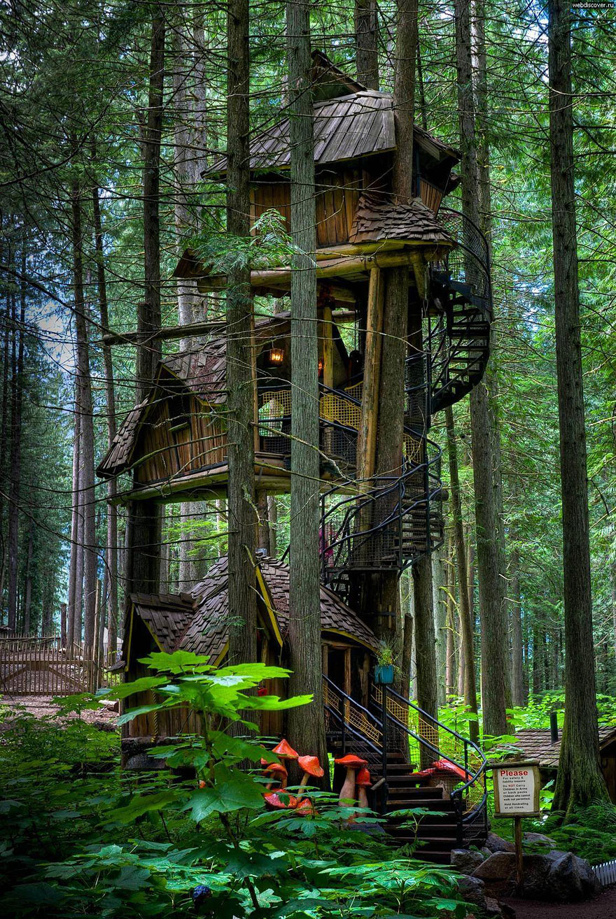 amazing-treehouses-4.jpg